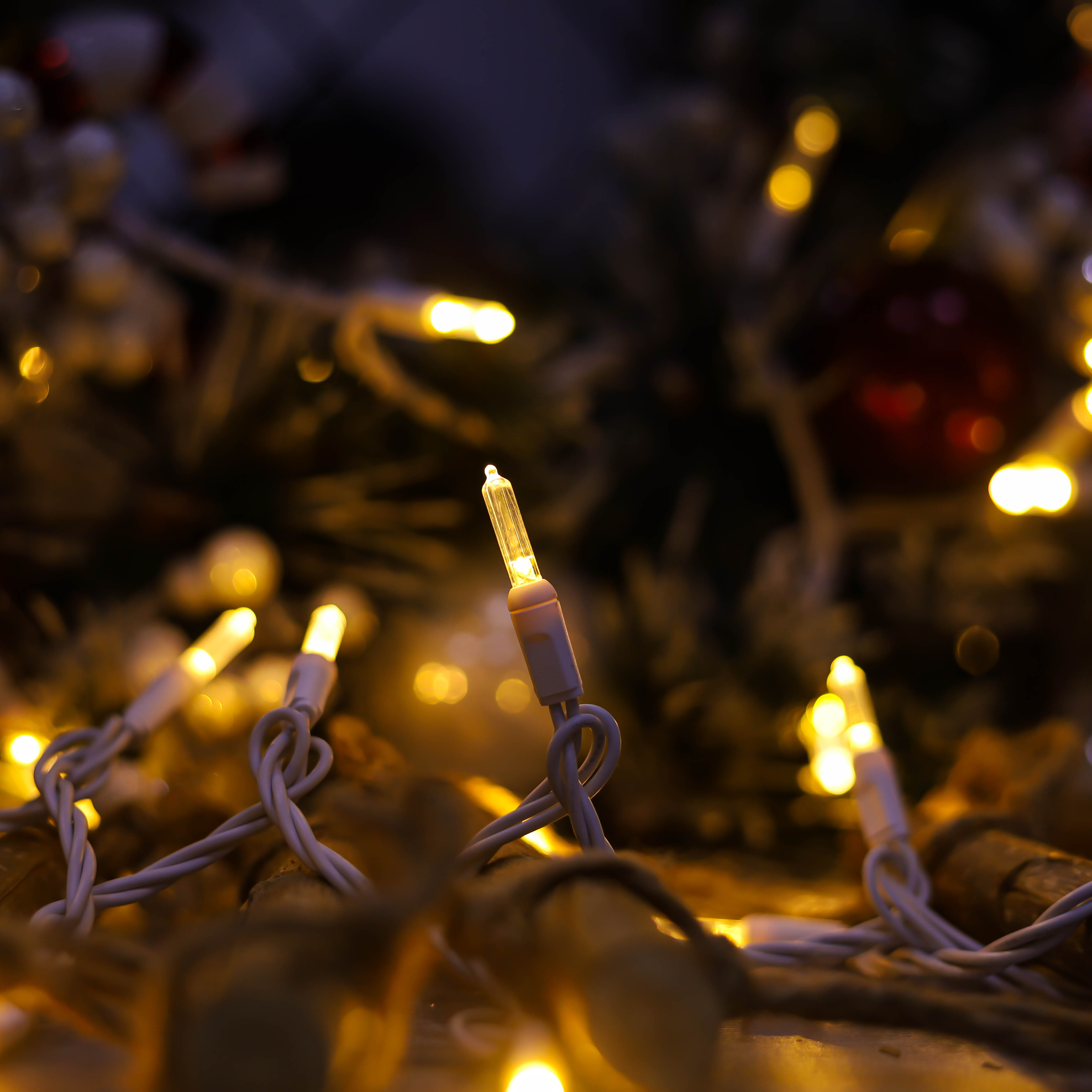 T5 теплый белый рождественский светодиодный светодиод